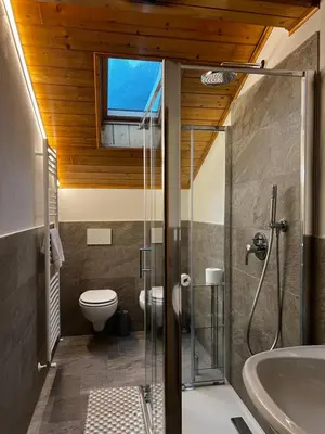 a bathroom with a shower and a toilet and a sink at Cesa Elena in Canazei