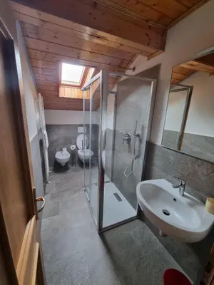 a bathroom with a shower and a sink and a toilet at Cesa Elena in Canazei