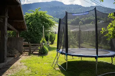 a trampoline in a yard with a view of a mountain at Tribus Lorenz - Wiesgut in Vollan