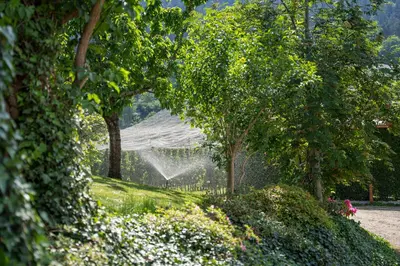 a house in the middle of a garden with trees at Tribus Lorenz - Wiesgut in Vollan