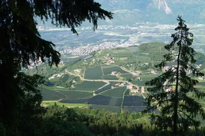 a view of a valley of green vineyards at Tribus Lorenz - Wiesgut in Vollan