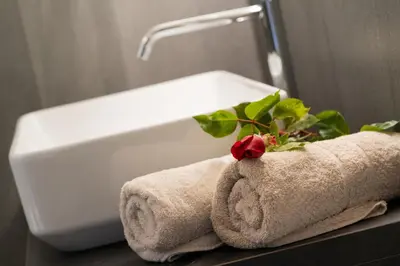 a bathroom sink with towels and a plant on a counter at Aromis in Termeno