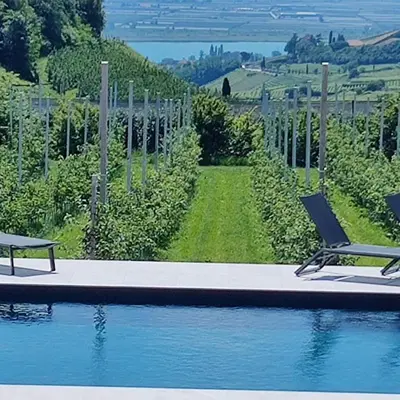 a swimming pool with a chair next to a vineyard at Mareithof Appartements Seeblick in Caldaro