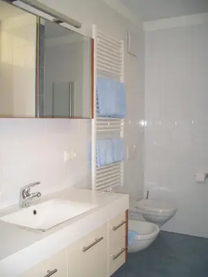 a bathroom with a sink and a toilet and a mirror at Tauberhof Apartments in Bressanone