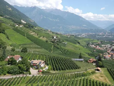 an aerial view of a vineyard in the mountains at Unterbrunnerhof in Lana