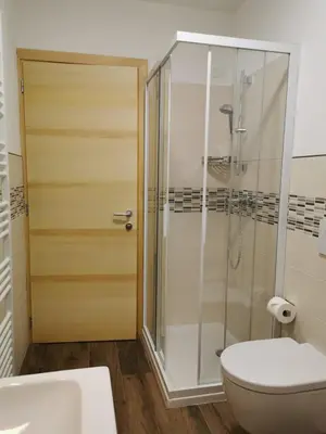a bathroom with a shower and a toilet and a sink at App Col di Lana - Agriturismo La Majon da Col in Colle Santa Lucia