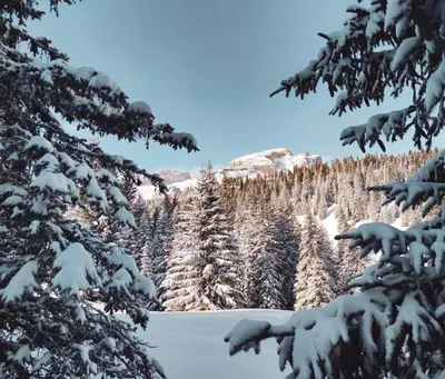 a snow covered forest with a lake and trees at The Grey Lodge at Bosco Verde in San Cassiano
