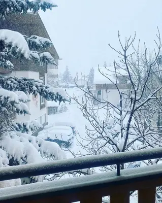 a view of a yard covered in snow at The Grey Lodge at Bosco Verde in San Cassiano