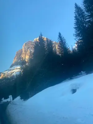 a snow covered mountain with trees in the background at The Grey Lodge at Bosco Verde in San Cassiano