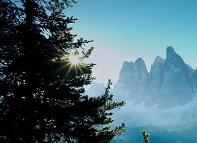 a tree with the sun in front of a mountain at Galreidhof in Funes