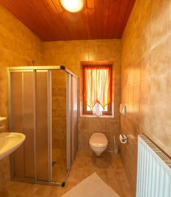 a bathroom with a toilet and a shower and a window at Galreidhof in Funes