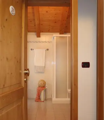 a bathroom with a shower and a toilet at hotel Parco Pineta in Cavareno