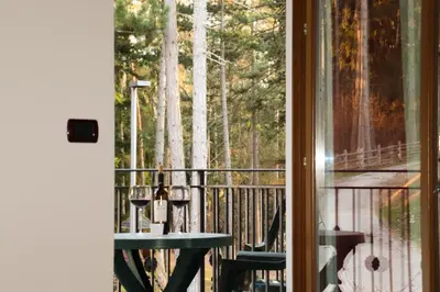 a view of a balcony with a table and trees at hotel Parco Pineta in Cavareno