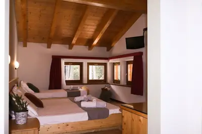 two beds in a room with wooden ceilings at hotel Parco Pineta in Cavareno