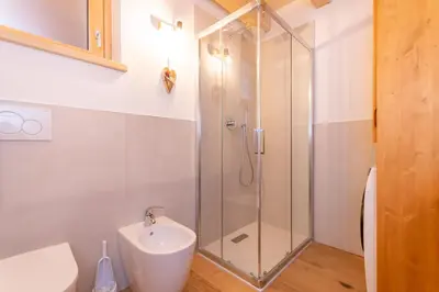 a bathroom with a shower with a toilet and a sink at Chalet Laura in Alleghe