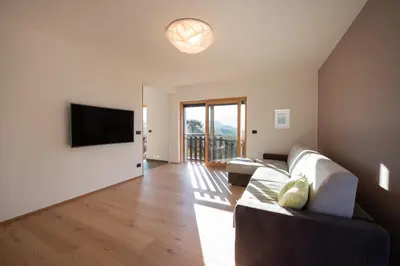 a living room with a couch and a flat screen tv at Appartement Marlene in Appiano sulla Strada del Vino
