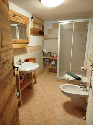 a bathroom with two sinks and a shower at Botton d'oro in Campitello di Fassa