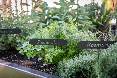 three signs in a garden with plants at Mesnerhof in Valles