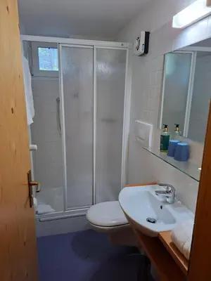 a bathroom with a shower and a toilet and a sink at Gassermühle - Studio Appartments in Eggen