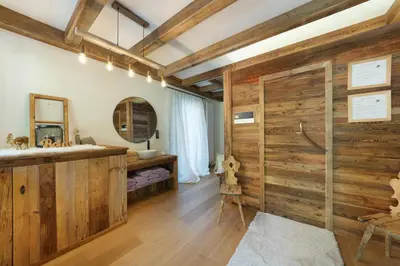 a bathroom with wooden walls and a sliding shower stall at Unterurban DIE EINS in Unsere Liebe Frau im Walde