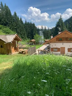 a field of grass with a building and trees at Unterurban DIE EINS in Unsere Liebe Frau im Walde