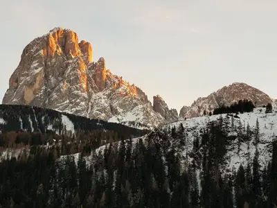 a mountain with snow and trees on it at Apartment Romana in Selva di Val Gardena