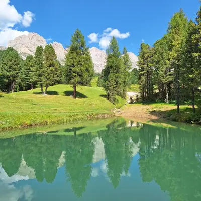 a river with trees and mountains in the background at Apartment Romana in Selva di Val Gardena