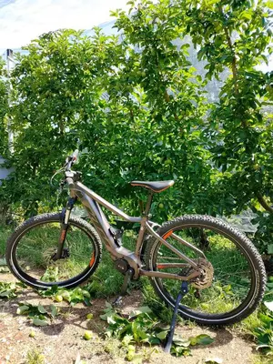 a bike is parked in front of a tree at Agritur La Fenice in Brez