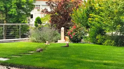 a green yard with a statue in the grass at Agritur La Fenice in Brez
