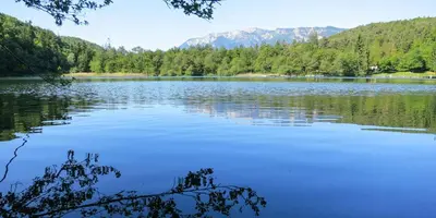 a large lake with trees and mountains in the background at Tinnerhof in Appiano sulla Strada del Vino