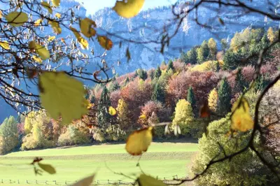 a painting of a hill with trees and a field at Tinnerhof in Appiano sulla Strada del Vino