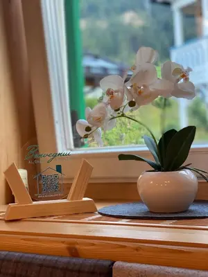 a table with a vase with a flower in a window at Garnì Villa Elsa in Pozza di Fassa