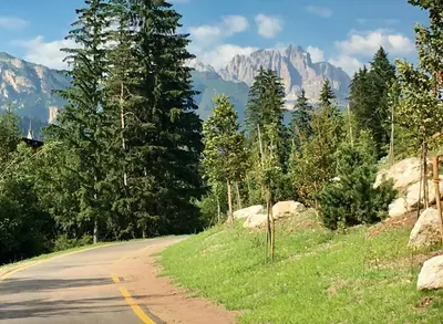 a winding road with trees and mountains in the background at Garnì Villa Elsa in Pozza di Fassa