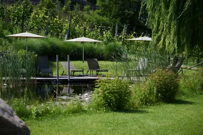 a group of chairs and umbrellas next to a pond at Weingut Stuck in Appiano sulla Strada del Vino