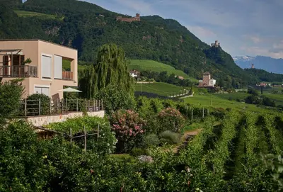 a house on a hill with a vineyard at Weingut Stuck in Appiano sulla Strada del Vino