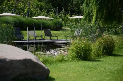 two chairs and umbrellas sitting next to a pond at Weingut Stuck in Appiano sulla Strada del Vino