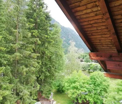 a view of a tree from a cabin at Cèsa Pier Sellaronda Dolomiti in Campitello di Fassa