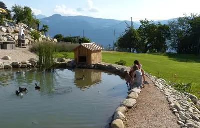 a group of people looking at ducks in a pond at Residence Liesy in Tesimo