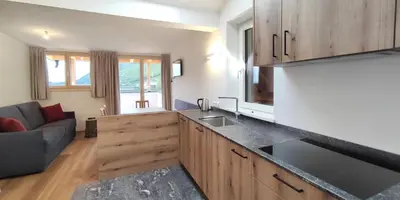 a kitchen with a sink and a couch in a room at Mittelbergerhof Ferienwohnungen in Vilpiano