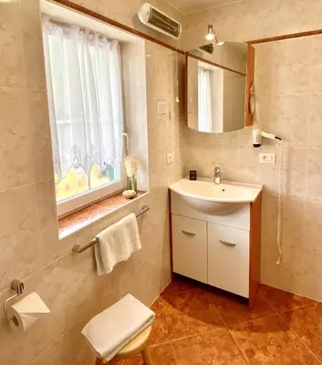 a bathroom with a sink and a toilet and a mirror at Alpine Chalet CESA VEDLA -nature & silence in Ortisei