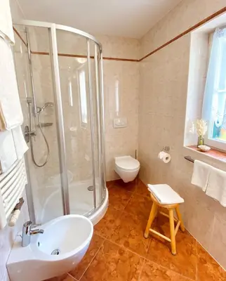a bathroom with a shower and a sink and a toilet at Alpine Chalet CESA VEDLA -nature & silence in Ortisei