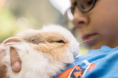 a young boy holding a brown and white rabbit at Reden Hof in Selva dei Molini
