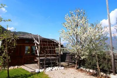 a log cabin with trees in front of it at Huebenburg in Appiano sulla Strada del Vino