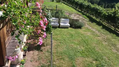 a garden with pink flowers and a fence at Verleierhof in Castelrotto
