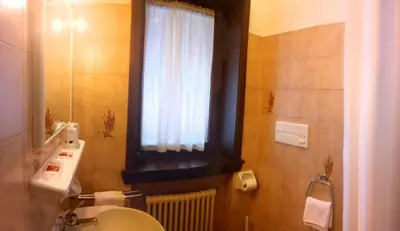 a bathroom with a toilet and a window and a sink at Hotel Alle Alpi in Alleghe