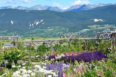 a garden with flowers and mountains in the background at Wellness e Resort Stella Delle Alpi in Ronzone