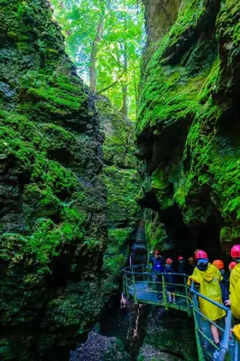 a group of people on a boat in a forest at Wellness e Resort Stella Delle Alpi in Ronzone