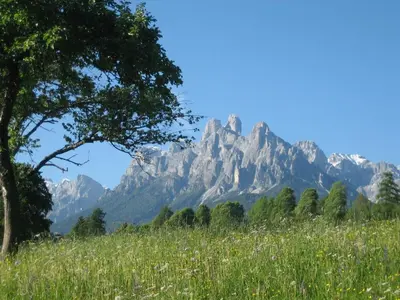 a mountain in the distance with a field of flowers at Casa Caterina in Fiera di Primiero