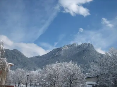 a mountain in the distance with snow covered trees at Casa Caterina in Fiera di Primiero
