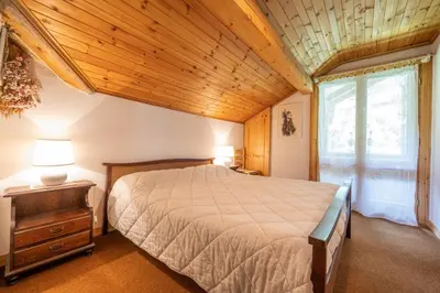 a bedroom with a large bed and a wooden ceiling at Cesa Monti pallidi 1 in Canazei